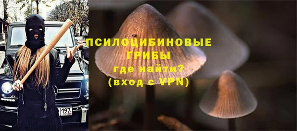 герыч Белокуриха