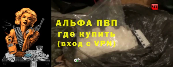 индика Белоозёрский