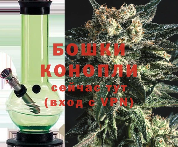 индика Белоозёрский